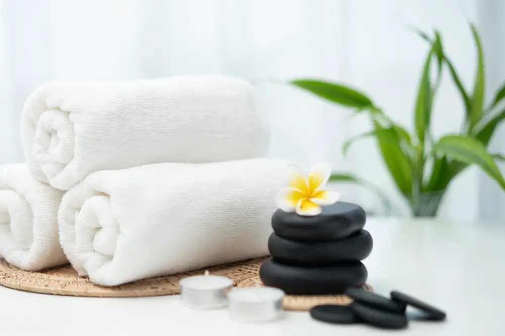 wellness accounting services